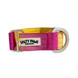 Salty Paws ombre martingale collar in pink to yellow gradient with silver D-ring hardware