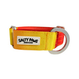 Salty Paws ombre martingale collar in yellow to orange gradient with silver D-ring hardware