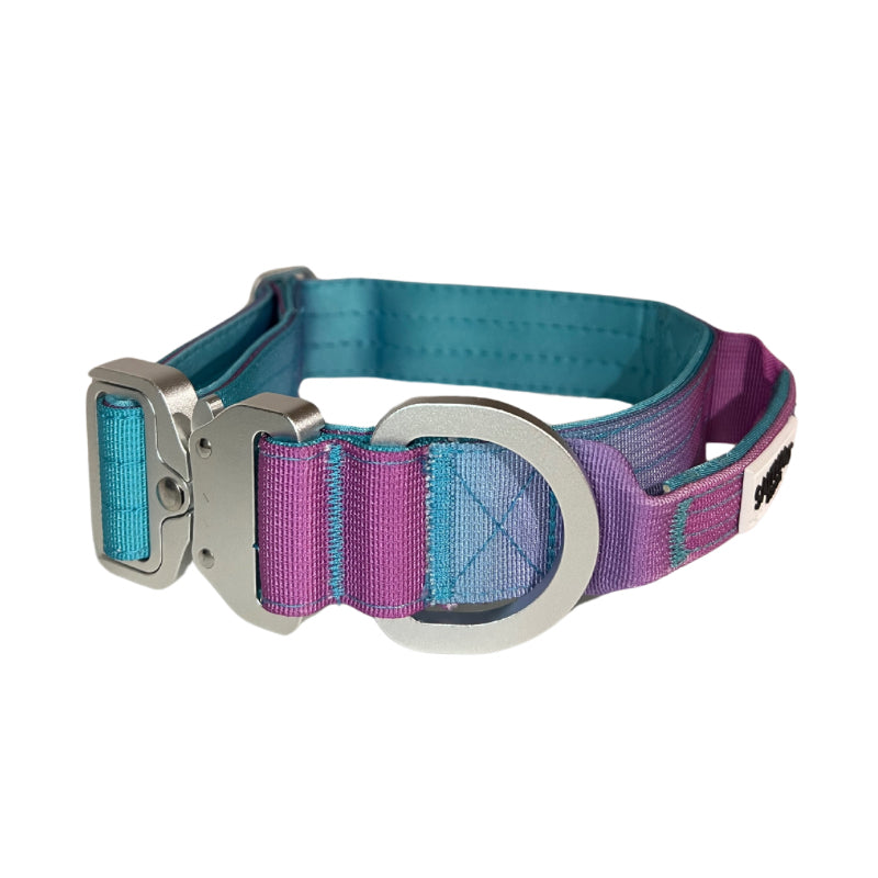 Salty Paws ombré tactical dog collar in aqua purple gradient showing quick-release buckle aviation grade aluminium D-ring hardware detail