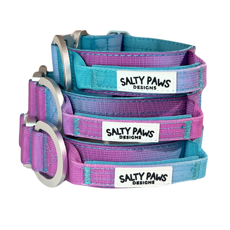 Salty Paws ombré tactical dog collars in aqua purple gradient shown in small, medium and large sizes with quick-release buckle aviation grade aluminium D-ring hardware detail