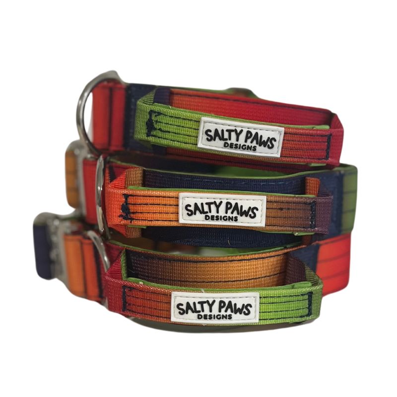 Salty Paws ombré tactical dog collars in dark rainbow gradient shown in small, medium and large sizes with zinc alloy hardware