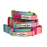 Salty Paws ombré tactical dog collars in light rainbow gradient shown in small, medium and large sizes with zinc alloy hardware