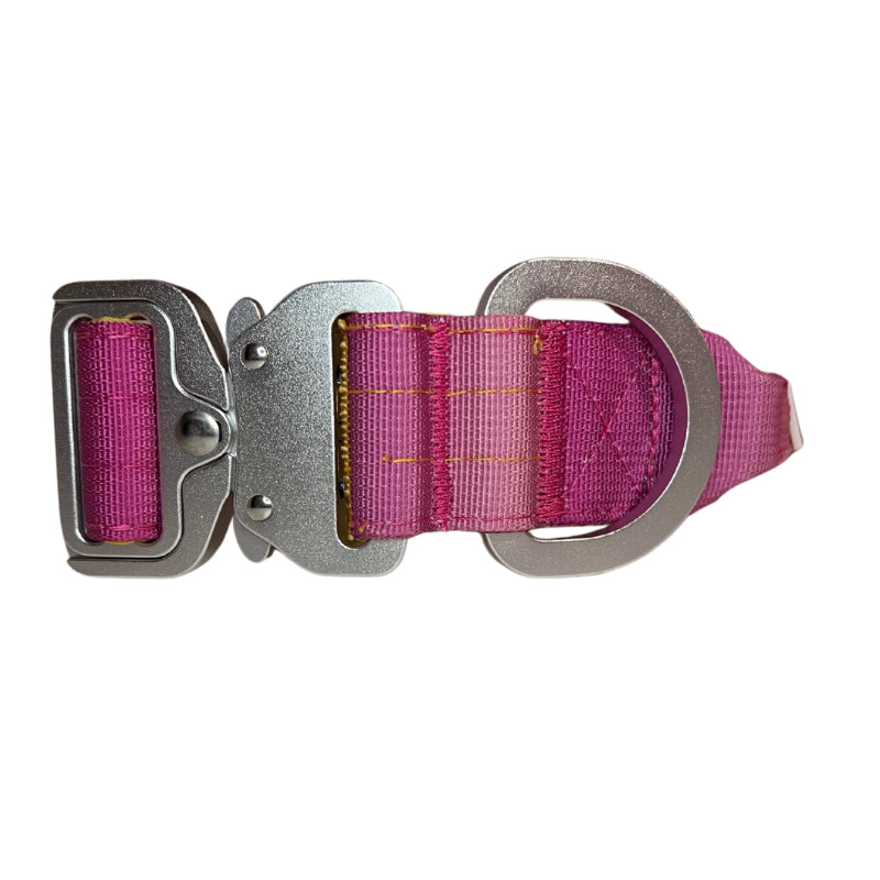 Close-up of Salty Paws ombré tactical dog collar in yellow pink gradient showing quick-release buckle aviation grade aluminium D-ring hardware detail