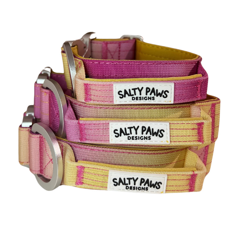 Salty Paws ombré tactical dog collars in yellow pink gradient shown in small, medium and large sizes with lightweight aluminium hardware