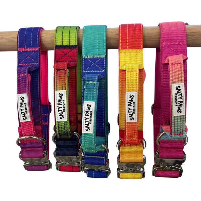 Salty Paws ombré tactical dog collars in all available colours with zinc alloy hardware displayed on wooden rail