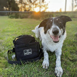 Border collie lying on grass next to Salty Paws Original Dog Training Treat Pouch, outdoor sunset setting