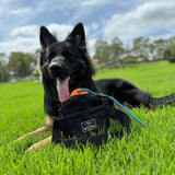 German Shepherd lying on grass with Salty Paws Original Dog Training Treat Pouch during outdoor training session