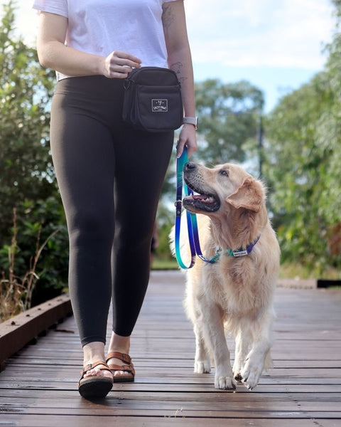 Owner walking a golden retriever with the Salty Paws Original Dog Training Treat Pouch clipped to waist, outdoor lifestyle