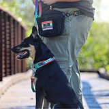 Dog wearing Waterproof Gradient Tactical Collar with owner wearing Salty Paws Pride dog training pouch