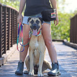 Dog sitting on bridge with owner wearing Salty Paws Pride training pouch and holding rainbow lead