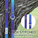 close-up of Salty Paws quick release lead in blue purple green gradient showing box stitched and reinforced with rivets construction