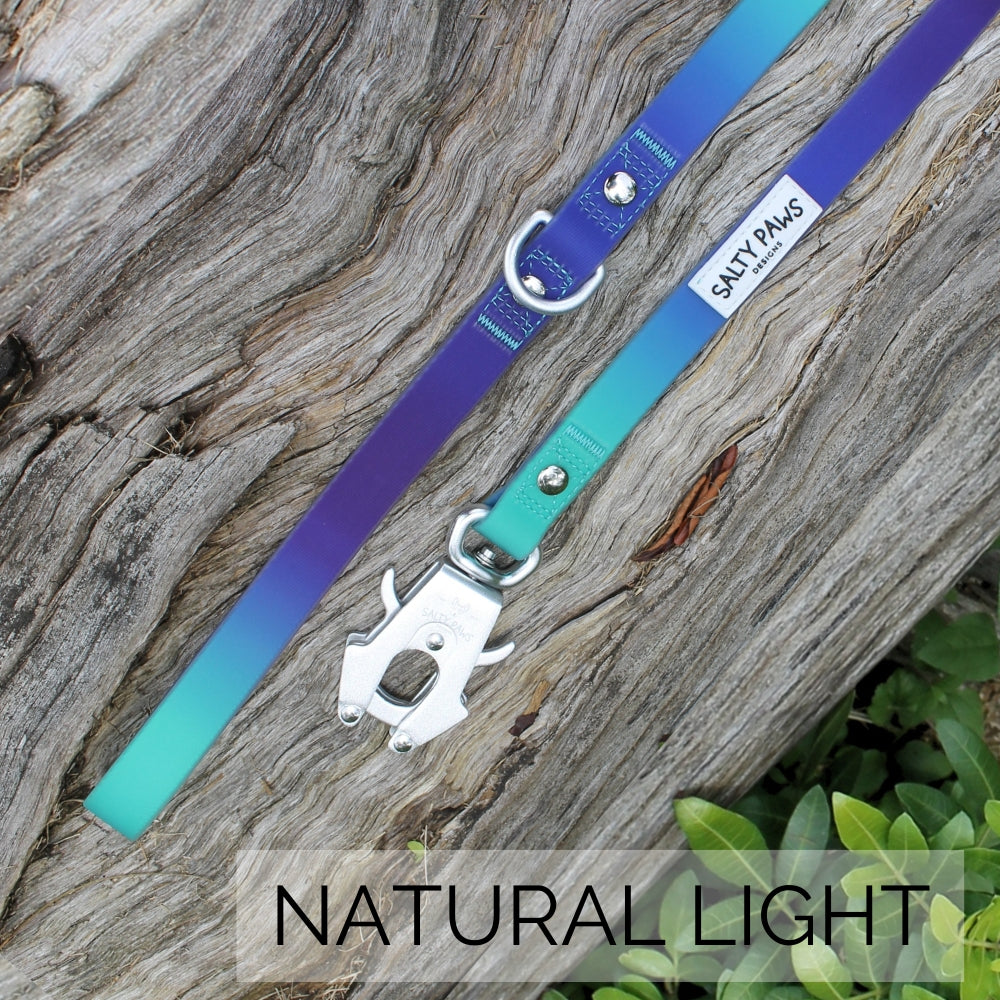 Salty Paws quick release dog lead in blue purple green gradient photographed in natural light showing aviation aluminium clip detail