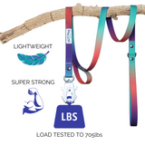 Salty Paws quick release dog lead in orange purple green gradient, lightweight and super strong, load tested to 705lbs