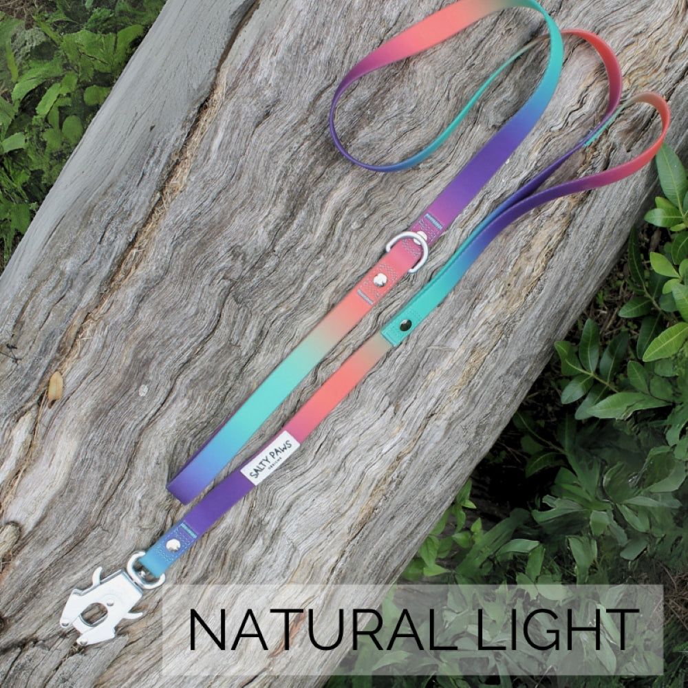 Salty Paws quick release dog lead in orange purple green gradient photographed in natural light showing aviation aluminium clip detail