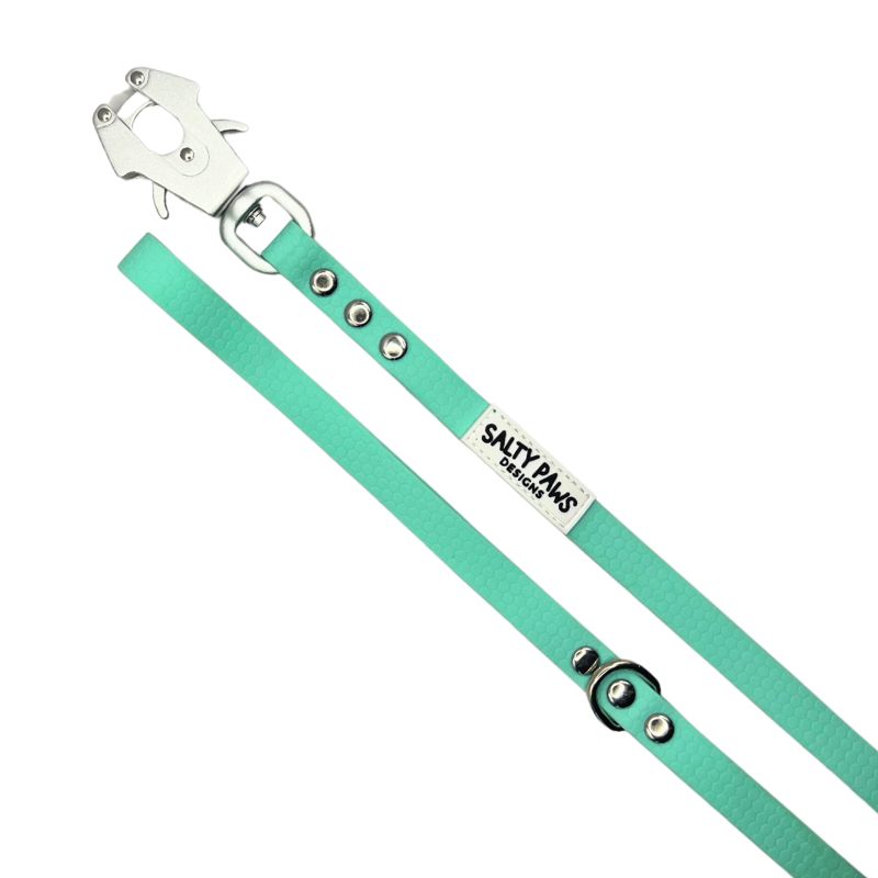 Salty Paws quick release waterproof dog lead in mint, diagonal flat lay showing frog clip snap and D-ring