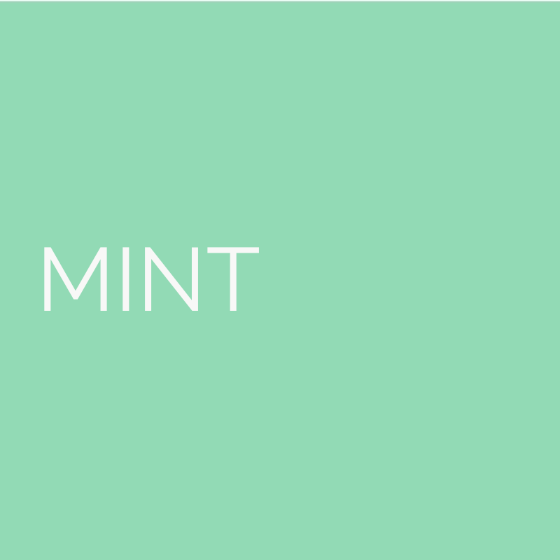 Salty Paws Silicone Treat Pouch colour swatch mint