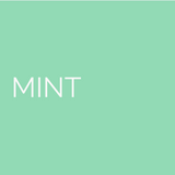 Salty Paws Silicone Treat Pouch colour swatch mint