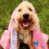 Happy golden doodle wrapped in Salty Paws Summer Days Adventure Dog Towel in pink, outdoor lifestyle
