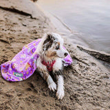 Australian Shepherd wrapped in Salty Paws Summer Days Adventure Dog Towel in purple lying on sandy beach