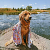 Golden retriever wrapped in Salty Paws Summer Days Adventure Dog Towel in purple sitting on rocks by a river