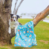 Border collie leaning on a tree with Salty Paws Summer Days Adventure Dog Towel in teal draped over branch