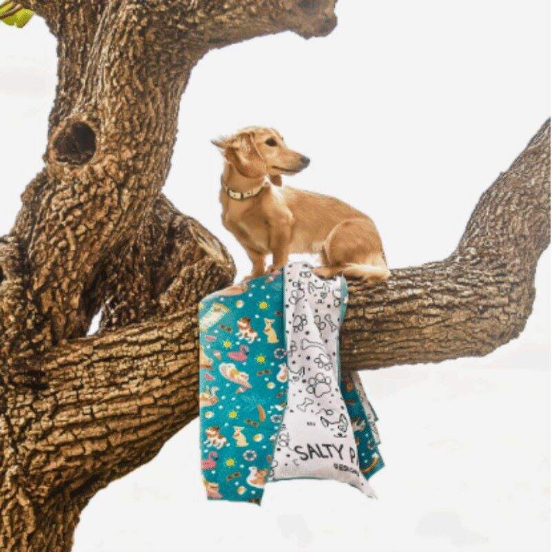 Dachshund on a tree branch with Salty Paws Summer Days Adventure Dog Towel in teal, lifestyle shot