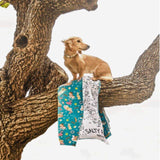 Dachshund on a tree branch with Salty Paws Summer Days Adventure Dog Towel in teal, lifestyle shot