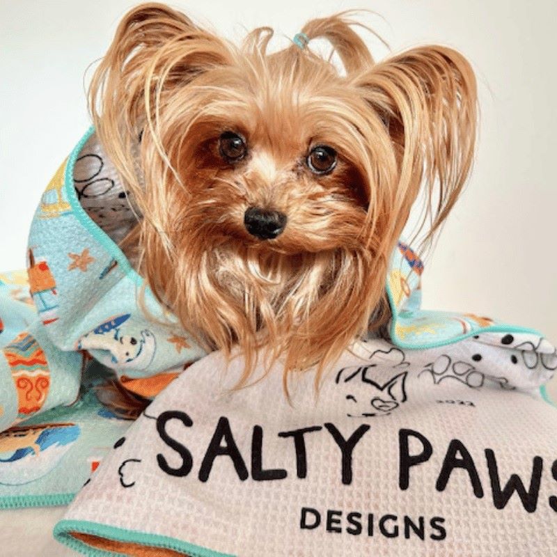 Yorkshire Terrier wrapped in Salty Paws Surf's Up Adventure Dog Towel in mint showing paw print reverse lining
