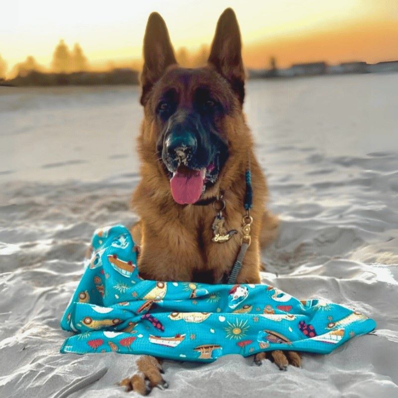 German Shepherd lying on Salty Paws Surf's Up Adventure Dog Towel sand free in teal at the beach during sunset