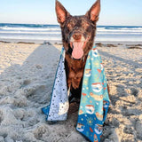 Kelpie wrapped in Salty Paws Surf's Up Adventure Dog Towel in teal sitting on sandy beach