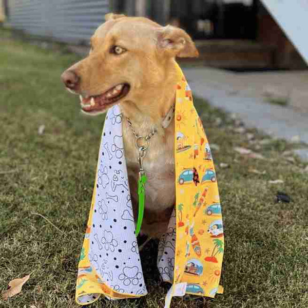 Dog wrapped in Salty Paws Surf's Up Adventure Dog Towel in yellow showing both surf print and paw print side