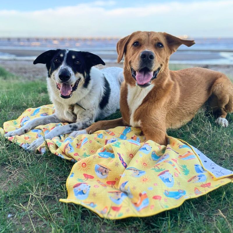 Two happy dogs lying on a yellow Salty Paws Designs Surf's Up adventure towel at the beach