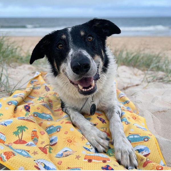 Salty Paws Designs Surf's Up adventure towel in yellow unfolded showing full surf-themed print