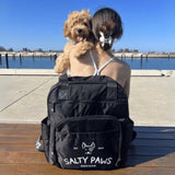 cavoodle sitting on owner's shoulder with Salty Paws Ultimate Adventure Grab Bag at waterfront