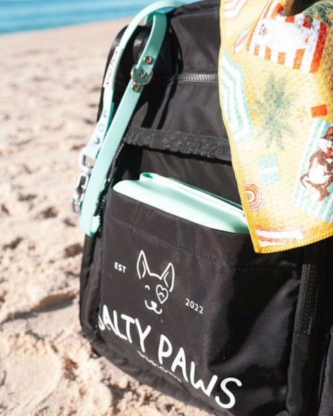 Salty Paws Ultimate Adventure Grab Bag open at the beach showing large main compartment