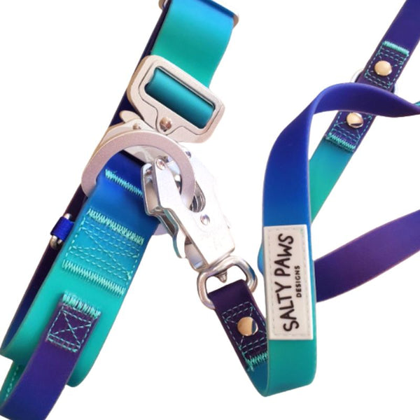 Salty Paws Designs Waterproof Adventure Set showing teal and purple waterproof dog collar and dual handle lead with silver hardware