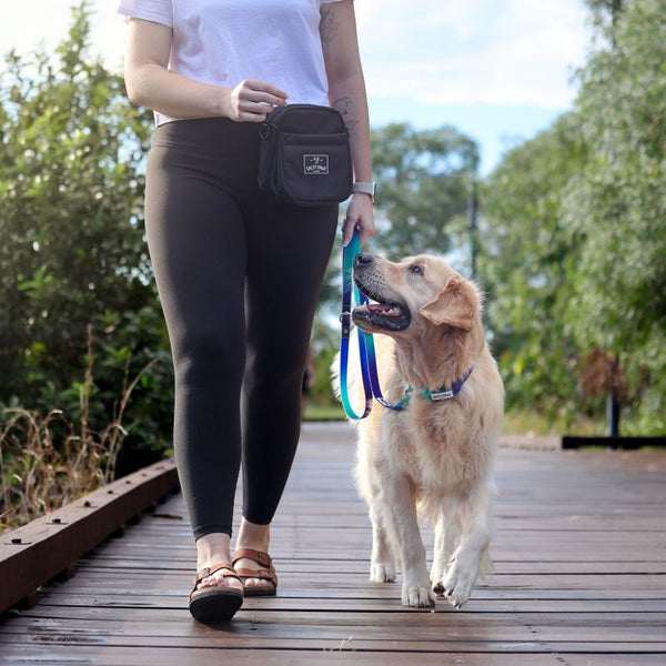 Dog walker wearing Salty Paws Designs training pouch while walking a golden retriever on a Salty Paws waterproof lead along a wooden boardwalk