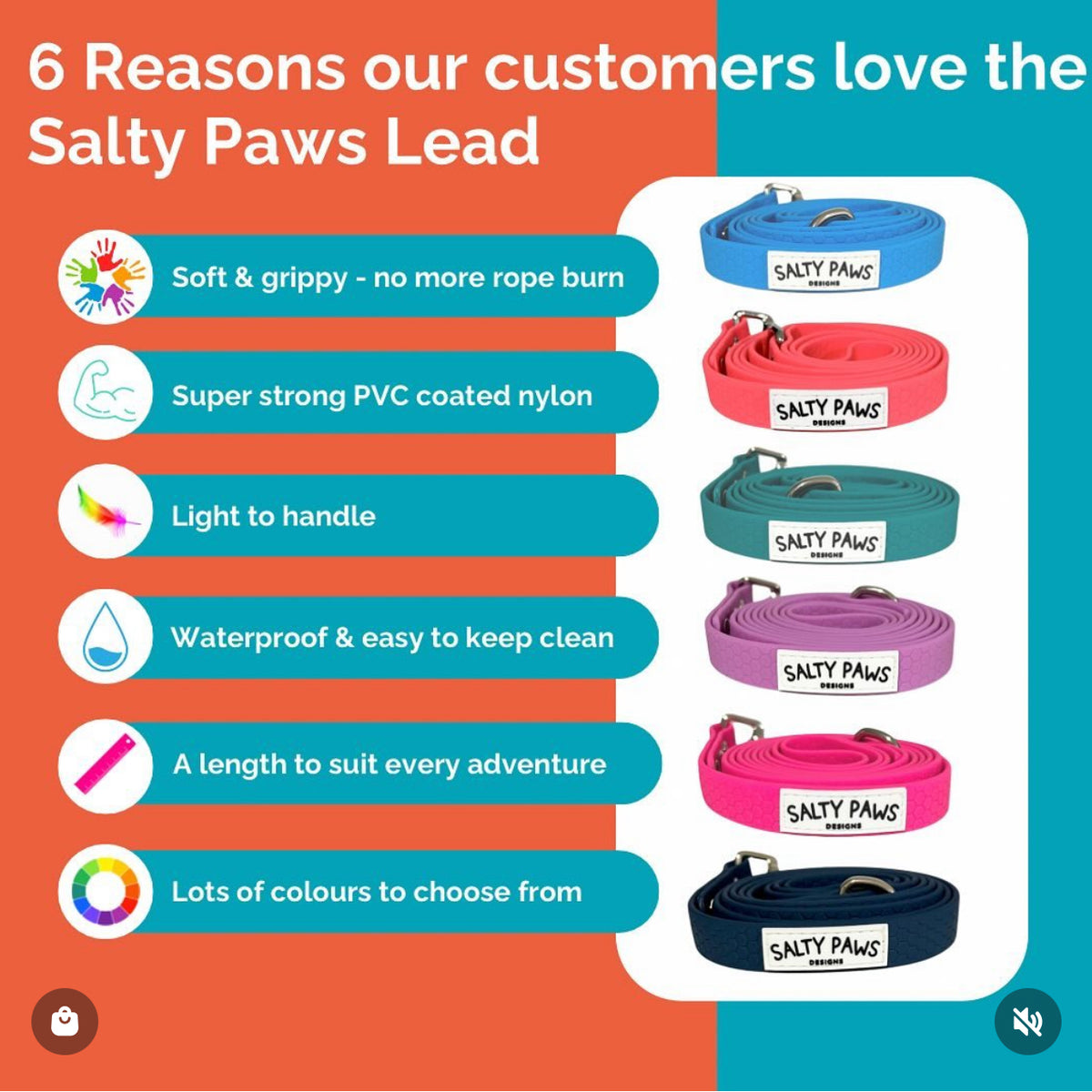 Salty Paws waterproof dog lead benefits infographic showing six reasons customers love the lead