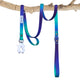  Blue | Purple | Green