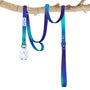 Salty Paws waterproof quick release dual handle dog lead in blue purple green gradient hanging on driftwood branch