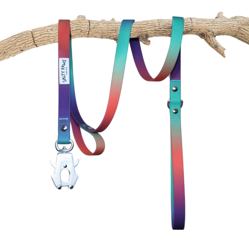 Salty Paws waterproof quick release dual handle dog lead in orange purple green gradient hanging on driftwood branch