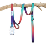 Salty Paws waterproof quick release dual handle dog lead in orange purple green gradient hanging on driftwood branch