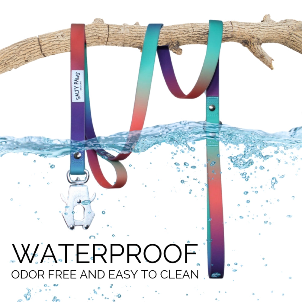 Salty Paws waterproof quick release dog lead in orange purple green gradient with water splash, waterproof, odor free and easy to clean