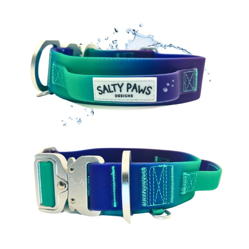 Salty Paws waterproof tactical dog collar in blue purple green gradient shown with water splash and buckle detail