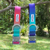 two Salty Paws waterproof tactical dog collars in blue purple green and orange purple green gradient hanging in natural outdoor light