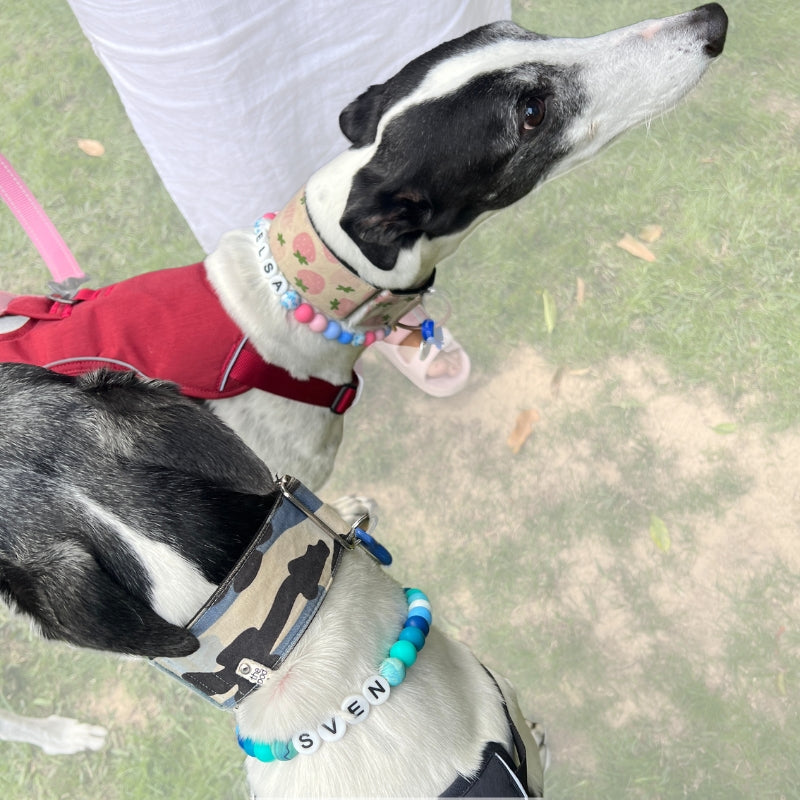 Silicone Beaded Dog Necklace | Personalised and Custom Made
