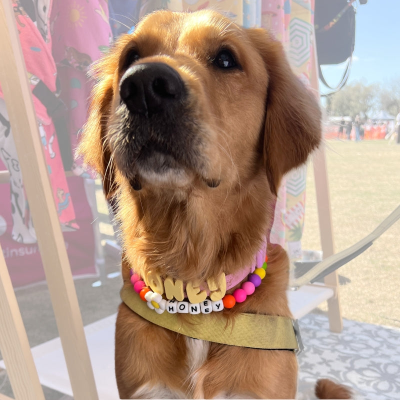 Silicone Beaded Dog Necklace | Personalised and Custom Made