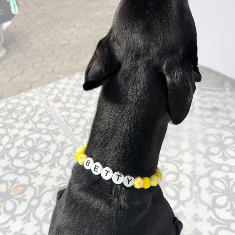 Silicone Beaded Dog Necklace | Personalised and Custom Made