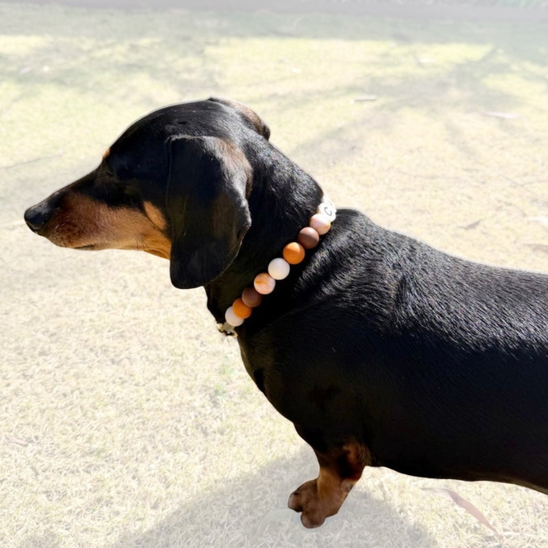 Silicone Beaded Dog Necklace - Set 75