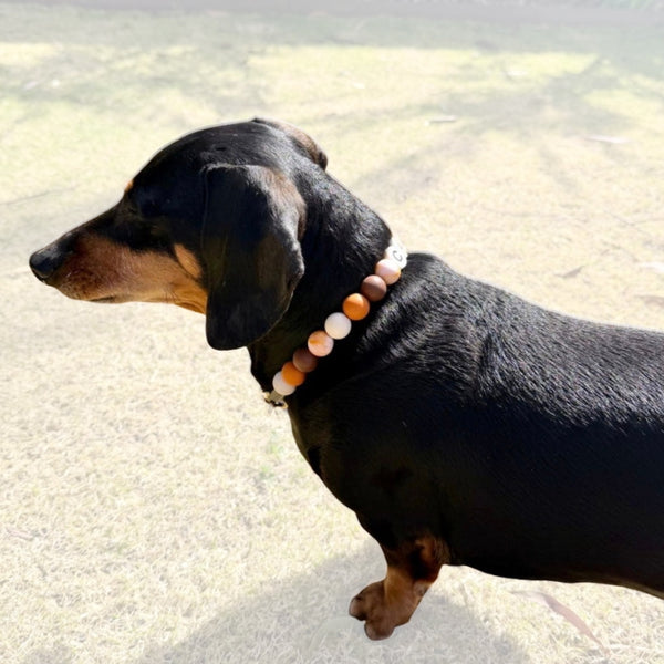 Silicone Beaded Dog Necklace - Set 75